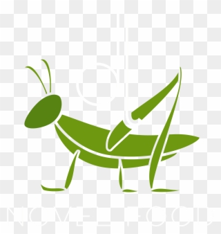 Grasshopper Clipart Jumping - Cricket - Png Download