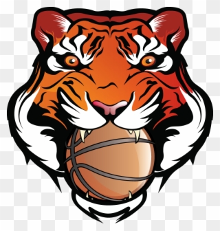 Bengal Spef Camps - Tigers Basketball Clip Art - Png Download