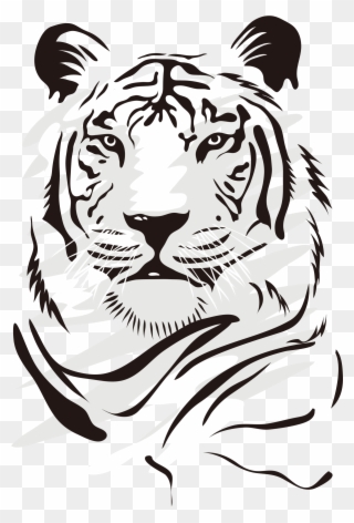 Drawing Tigers Vector - Dibujos De Tigres Blanco Y Negro Clipart