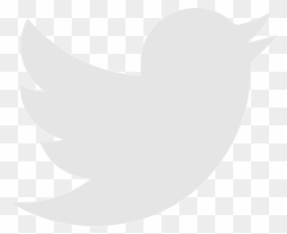 Social Icons-02 - Twitter Logo Png Green Clipart
