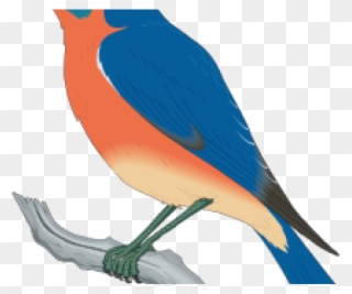 Free Bluebird Clipart - Blue Bird Clip Art - Png Download