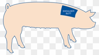 Pork Shoulder Is The Top Portion Of The Front Leg Of - Boston Clipart