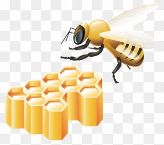 Медовые Соты И Пчелы - Bitcoin Bee Clipart