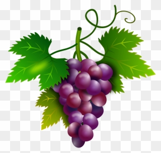 Grapes Clipart Purple Food - Cacho De Uva Png Transparent Png