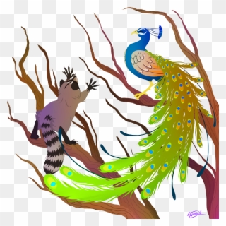 Peacock And Raccoon - Illustration Clipart