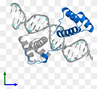 <div Class='caption-body'>pdb Entry 2r5z Contains 1 - Illustration Clipart