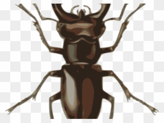Lady Beetle Clipart Kumbang - Stag Beetle - Png Download
