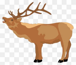 Raindeer Clipart - Clipart Library - Reindeer Clipart - Png Download