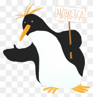 Penguin Violinist - Macaroni Penguin Clipart - Png Download