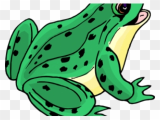 Bullfrog Clipart Tongue - Clipart Picture Of Frog - Png Download