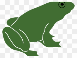 Green Toad Shower Curtain Clipart