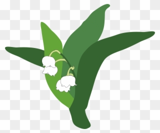 Lily Of The Valley Clipart Transparent - Lirio Do Vale Png