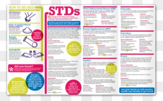 Brochure About Stds Clipart Chlamydia Infection Sexually - Brochure On Stds - Png Download
