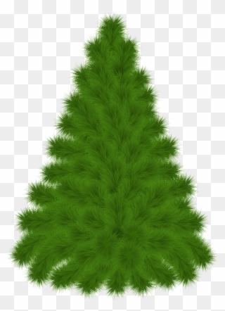 Pine Tree Clipart Png Transparent Png