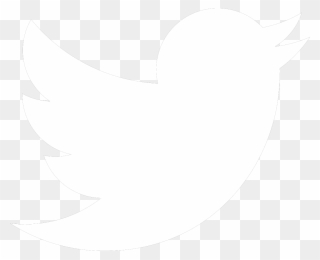 White Twitter Bird Transparent Background Clipart
