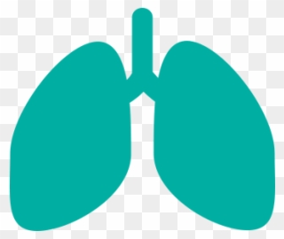 About Ipf European Idiopathic Pulmonary Fibrosis Related - Respiratory Icon Clipart