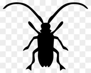 Primer On Invasive Forest Insects - Icon Beatle Clipart