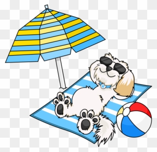 Enjoying The Sun At Hazelwood Holiday Park - Dog At The Beach Cartoon Clipart