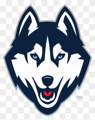 Nike Clipart Husky Puppy - Connecticut Huskies - Png Download