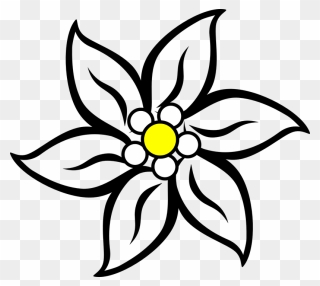 Narcissus Drawing Edelweiss Flower Jpg Stock - Edelweiss Clipart - Png Download