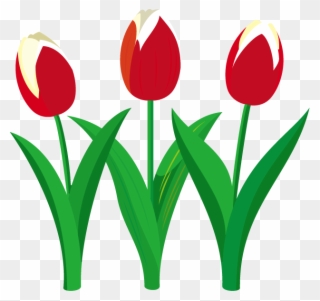 Screwdriver Clipart Flower - Illustration - Png Download