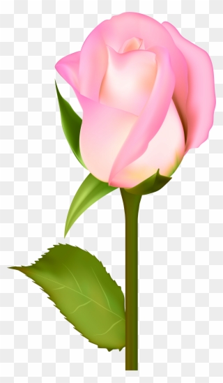 Beautiful Rose Transparent Clip Art Png Image Gallery - Portable Network Graphics