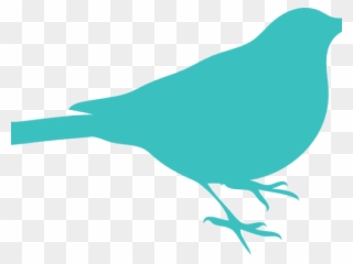 Bird Is The Word Sticker Clipart
