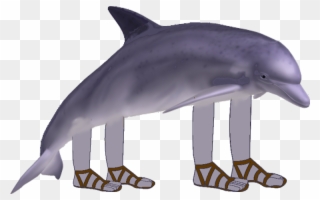 Bottlenose Dolphin Clipart Copyright Free - Dolphin With Arms And Legs - Png Download
