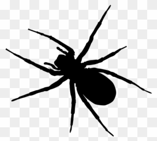 Spider Clipart Ant - Insects Silhouette In Black And White - Png Download