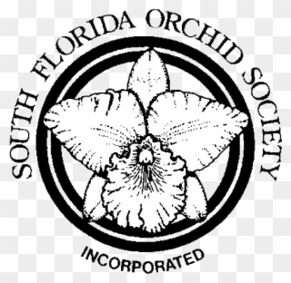 South Florida Orchid Society Clipart