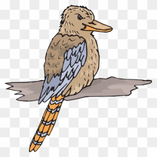 Kookaburra Bird, Wood, Wings, Animal, Beak, Feathers, - Kookaburra Clipart Png Transparent Png