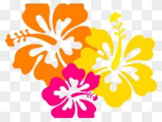 Flowers Borders Clipart Hibiscus - Hawaiian Flowers Clipart Png Transparent Png