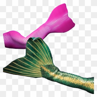 Get Your Professional Fabric Or Silicone Mermaid Tail - Mermaid Clipart