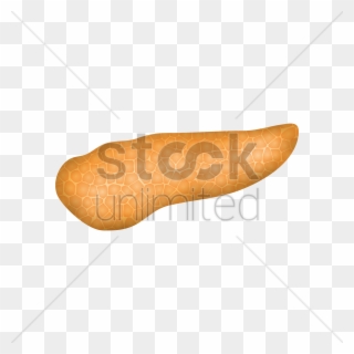 Bologna Sausage Clipart Bologna Sausage Font - Baguette - Png Download