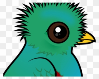 Quetzal Clipart - New Mexico Resplendent Bird - Png Download