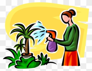 Vector Illustration Of Watering Houseplant Plants With - Annaffiare Le Piante Clipart - Png Download