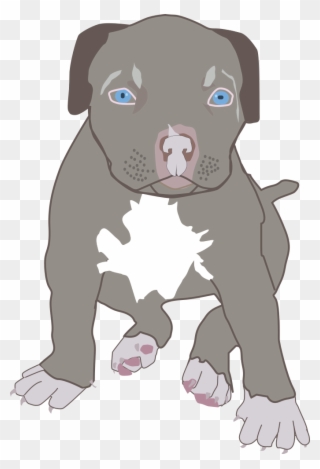 Pit Bull Puppy - Blue Nose Pitbull Clipart - Png Download