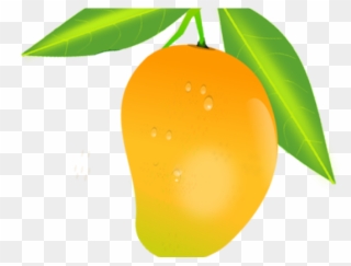 Fruit Clipart Mango - Mango Benefits In Hindi - Png Download