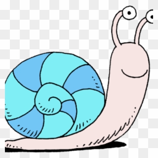 Clipart Snail - Png Download