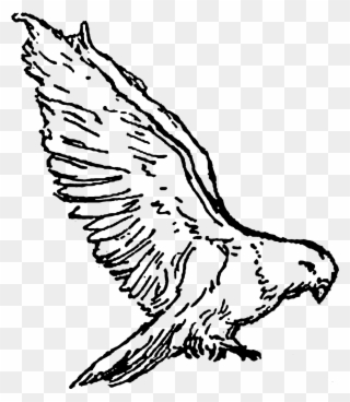 Clipart Kite Digital - Buzzard - Png Download