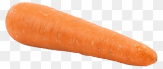 Picture Library Stock Carrot Clipart Real - Carrot .png Transparent Png