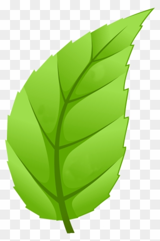 Healthy Communities - Leaf Trees Png Clipart