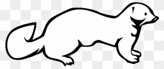 Ferret Clipart Mink - Ferret Clipart Black And White - Png Download