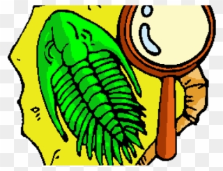 Fossil Clip Art - Png Download