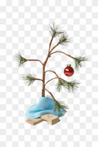 Charlie Brown Christmas Tree Png - Transparent Charlie Brown Tree Png Clipart