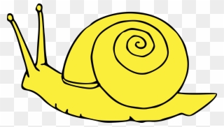 Open - Yellow Snail Clipart - Png Download
