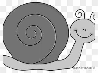 Snail Clipart Cute - Drawing - Png Download