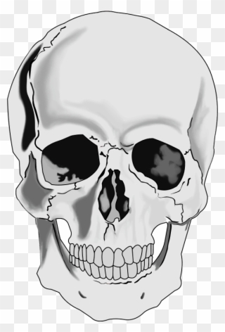 Human Skull Clipart - Png Download