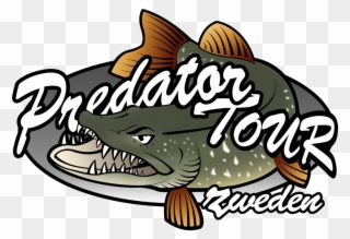 Predatortour Sweden 2018 - Predator Fishing Clipart