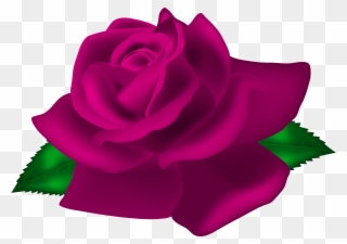 Red Rose Png Clipart